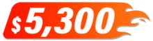 5300