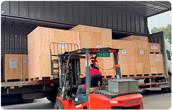 Export-Grade-Packing-&-Global-Shipment